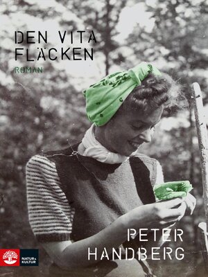 cover image of Den vita fläcken